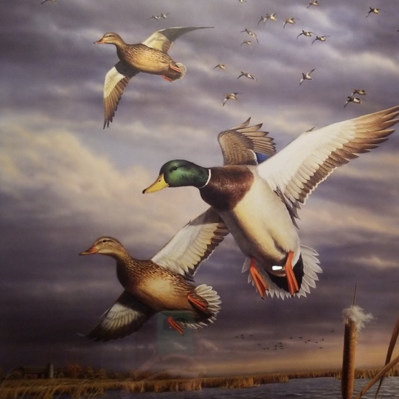 Meet your Posher, Danielle - Picture 1 of 1